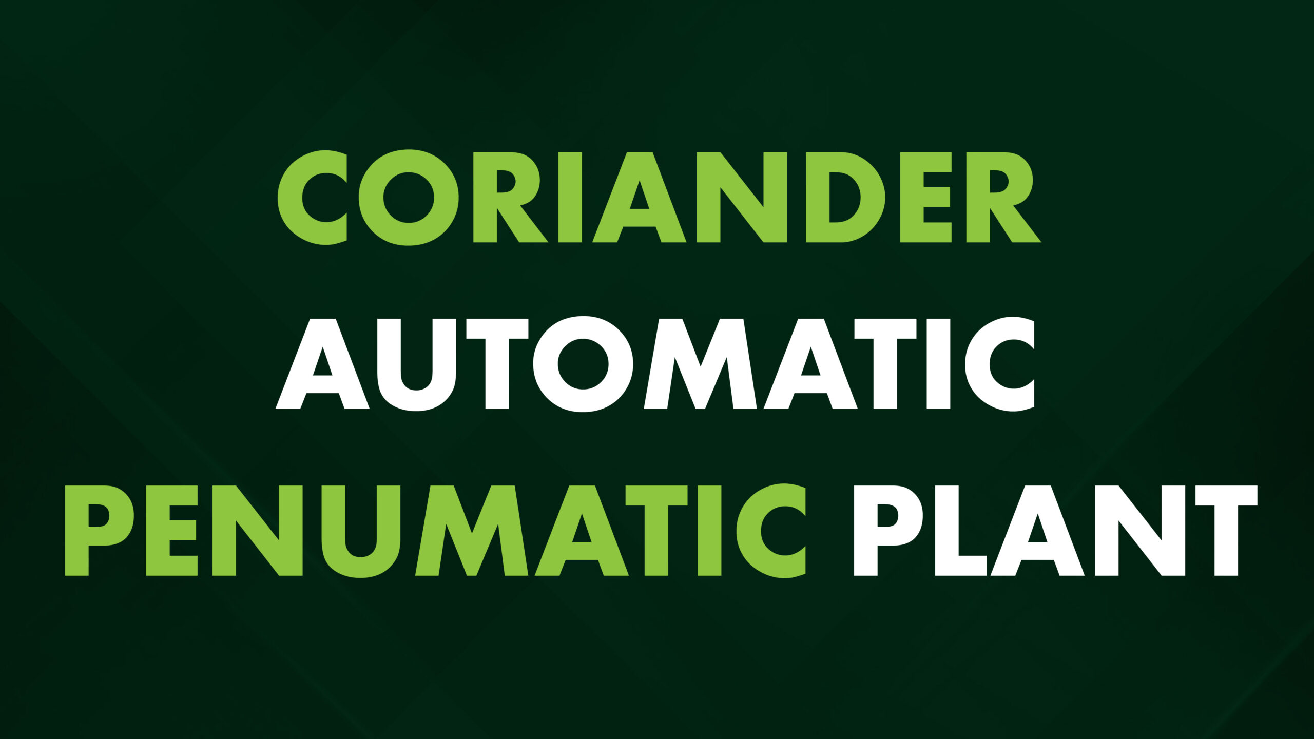 Coriander  Automatic Pneumatic Plant